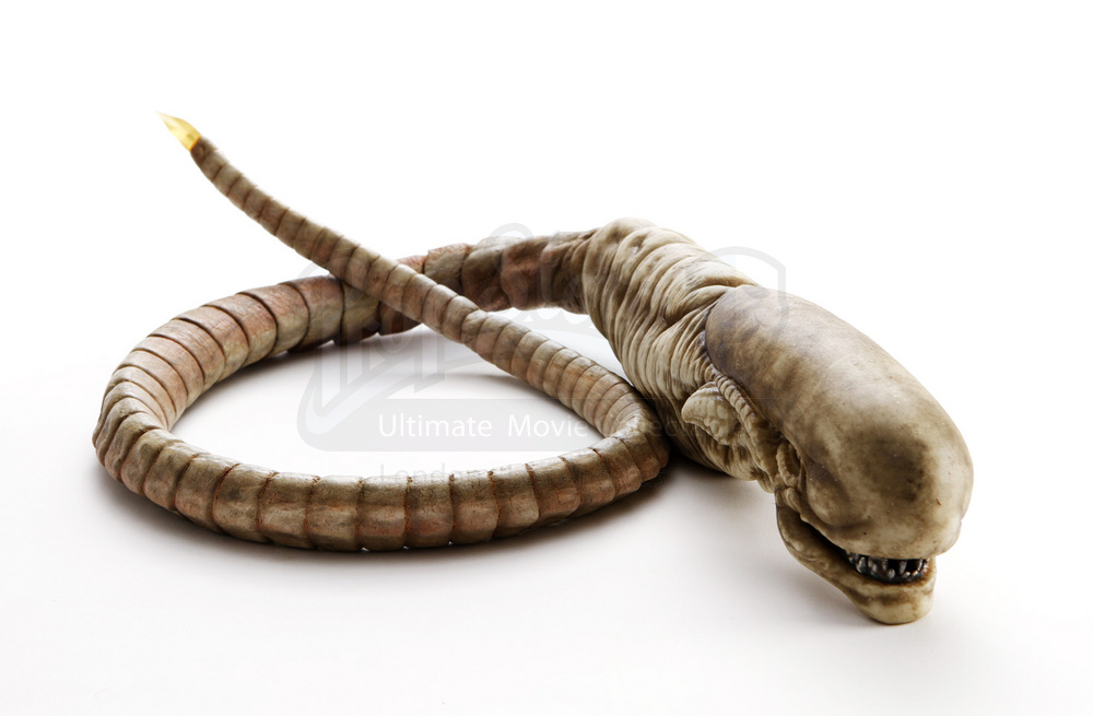 chestburster DriverLayer Search Engine