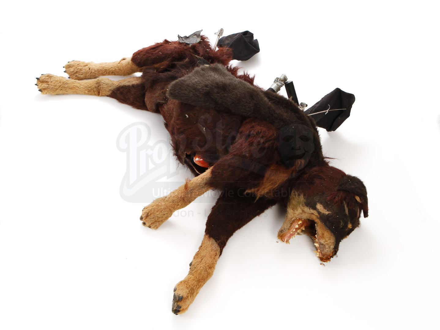rottweiler puppet prop store ultimate collectables rottweiler puppet prop store ultimate collectables