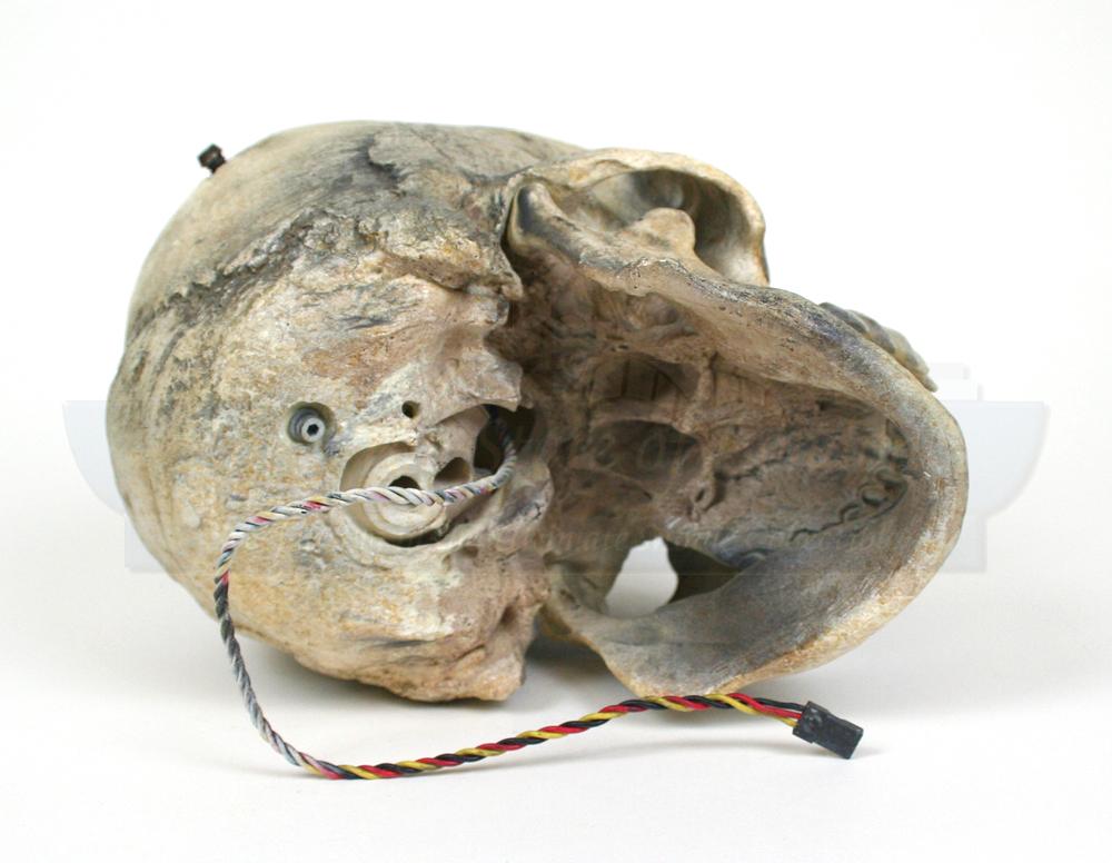 Prop Store Ultimate Movie Collectables