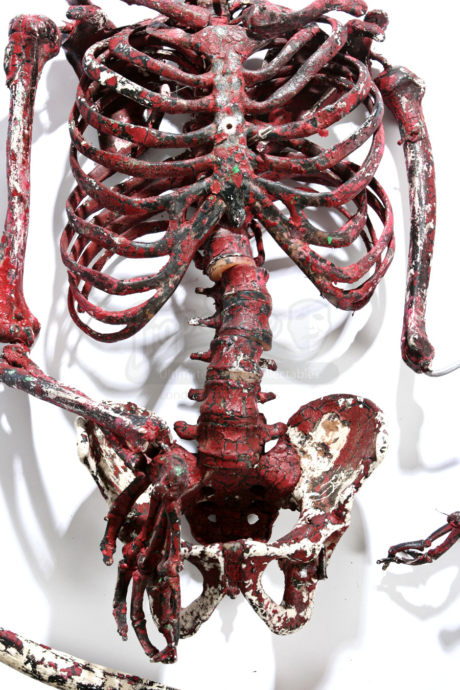Incinerated Red Human Skeleton | Prop Store - Ultimate Movie Collectables
