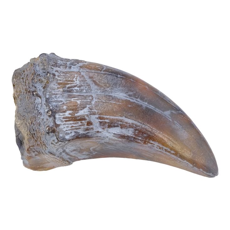 Lot 179 JURASSIC PARK (1993) ProductionMade Tyrannosaurus Rex