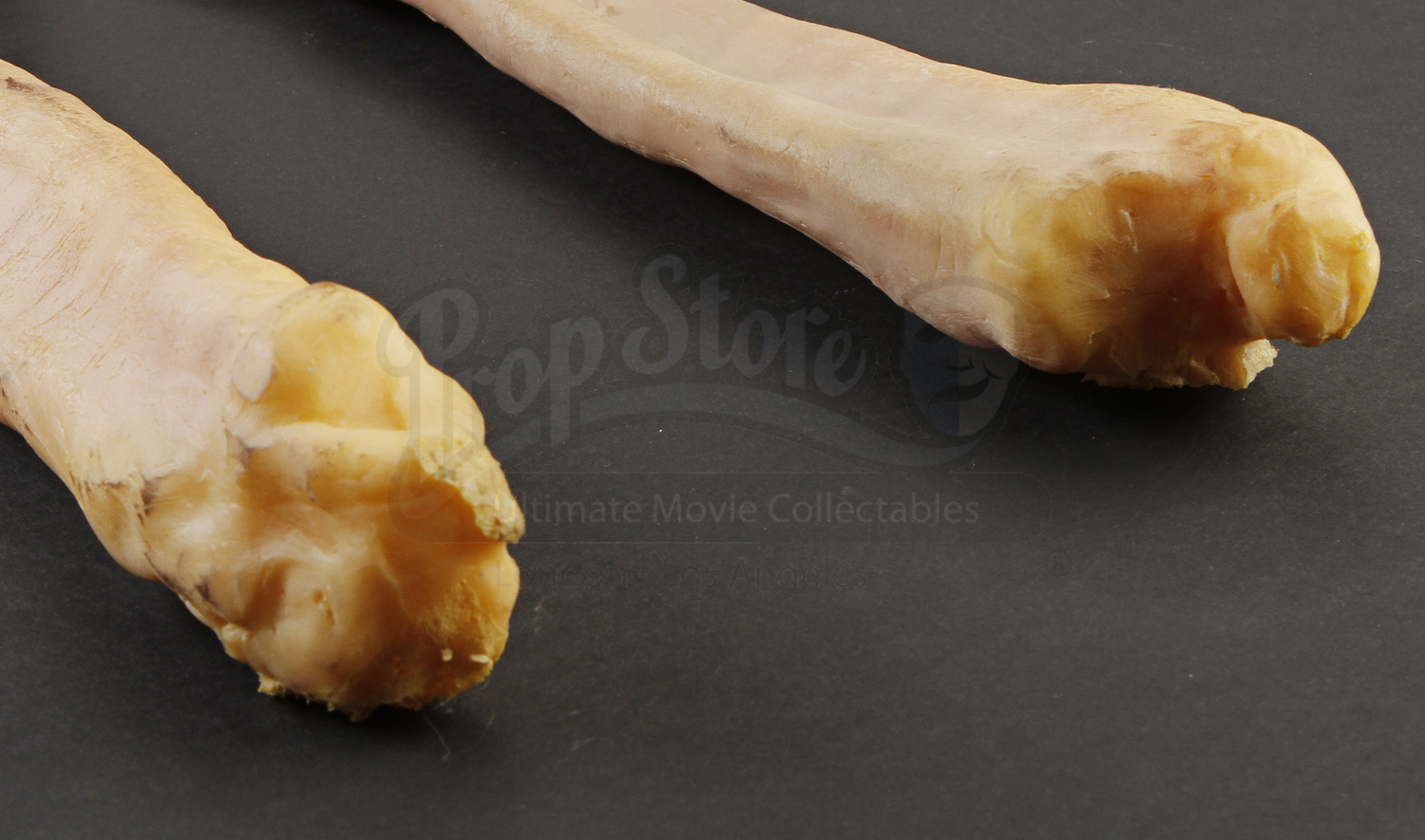 Pair of Shriveled Arms Prop Store Ultimate Movie Collectables