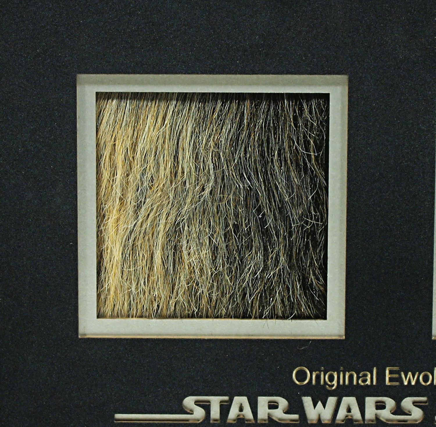 Teebo (Jack Purvis) Ewok Fur Display | Prop Store - Ultimate Movie