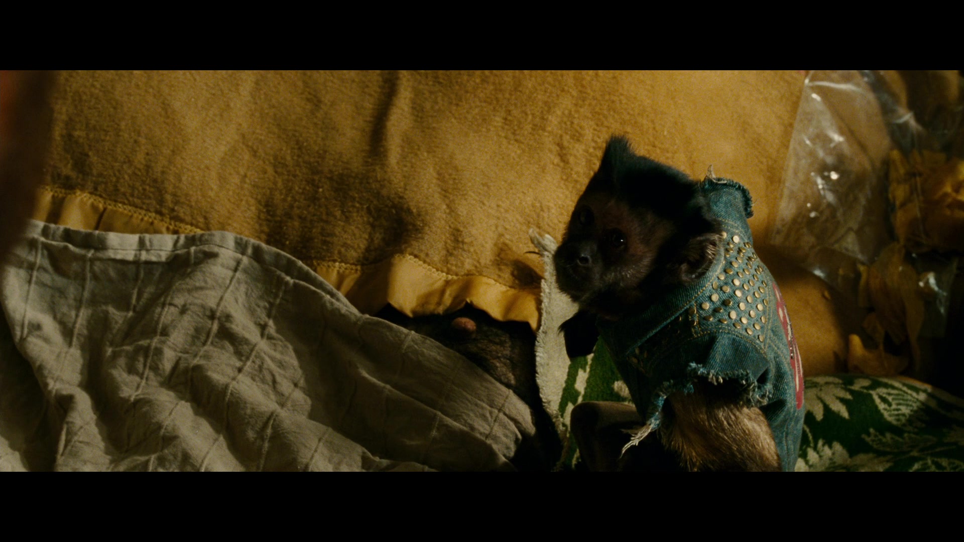 Lot 796 Pair of Leslie Chows (Ken Jeong) Shiitake Mushroom Penis Appliances HANGOVER PART II