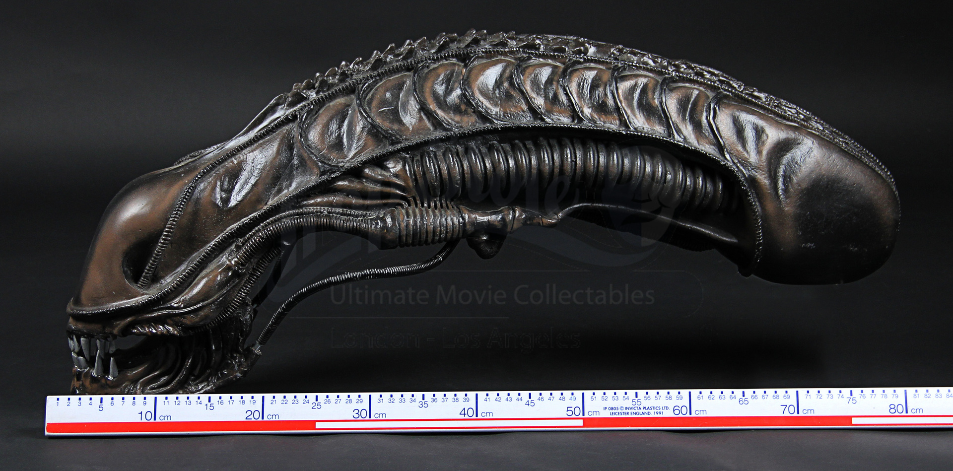 Xenomorph Alien Movie Model Skull Resin Heteromorphosis REVIEW: Hot ...