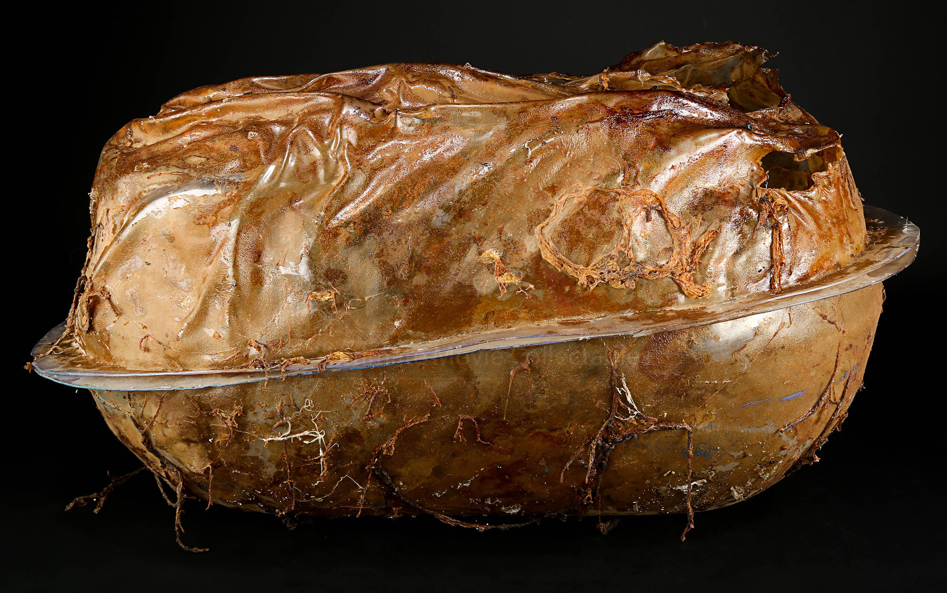 Alien Pod | Prop Store - Ultimate Movie Collectables