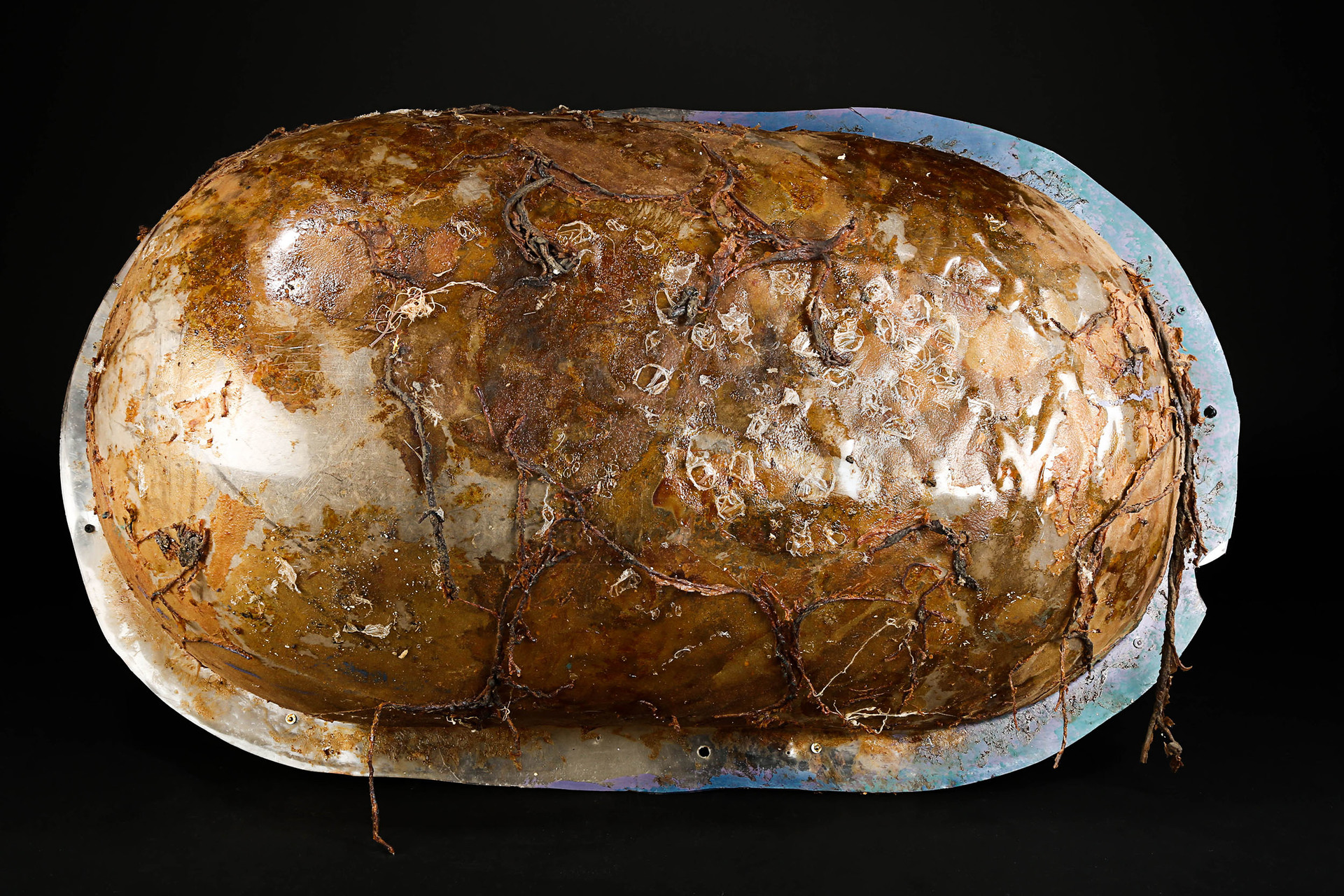 Alien Pod | Prop Store - Ultimate Movie Collectables
