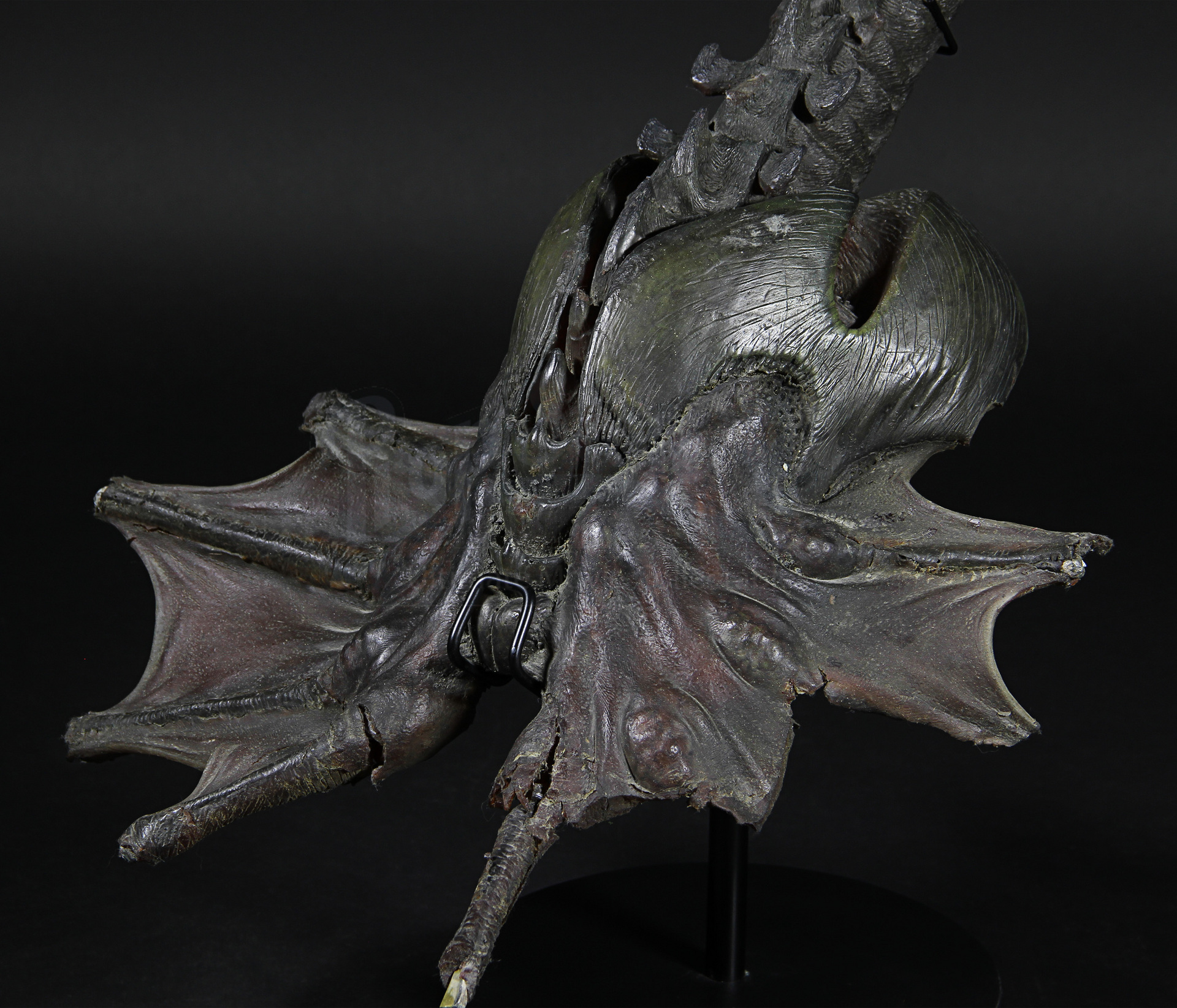 Super Facehugger Display ALIEN3 (1992)