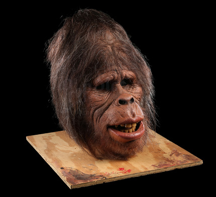 Female Sasquatch Head | Prop Store Ultimate Movie Collectables Prop Store Ultimate Movie Collectables