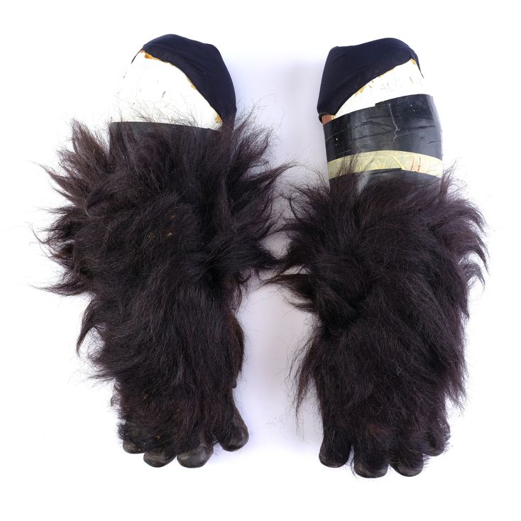 Pair of Mechanical Gorilla Arms GORILLAS IN THE MIST (1988)