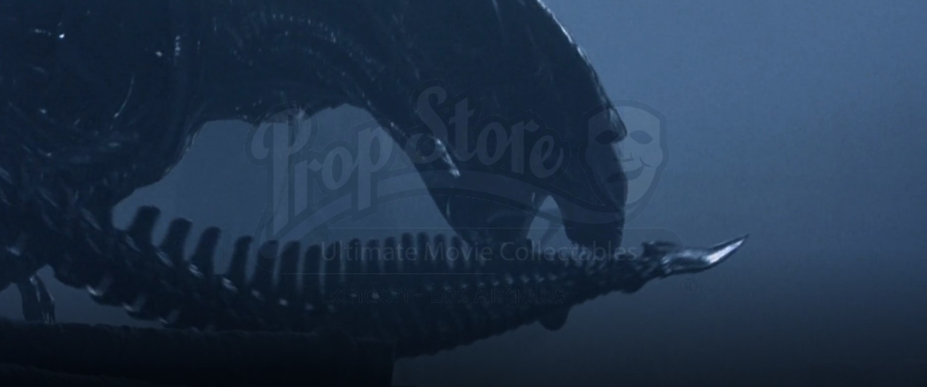 Xenomorph Components | Prop Store - Ultimate Movie Collectables