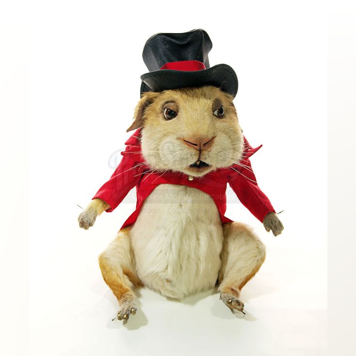 Puppet Ringmaster Al Fresco The Ringmaster Puppet Costume | TALES OF THE RIVERBANK (2008)