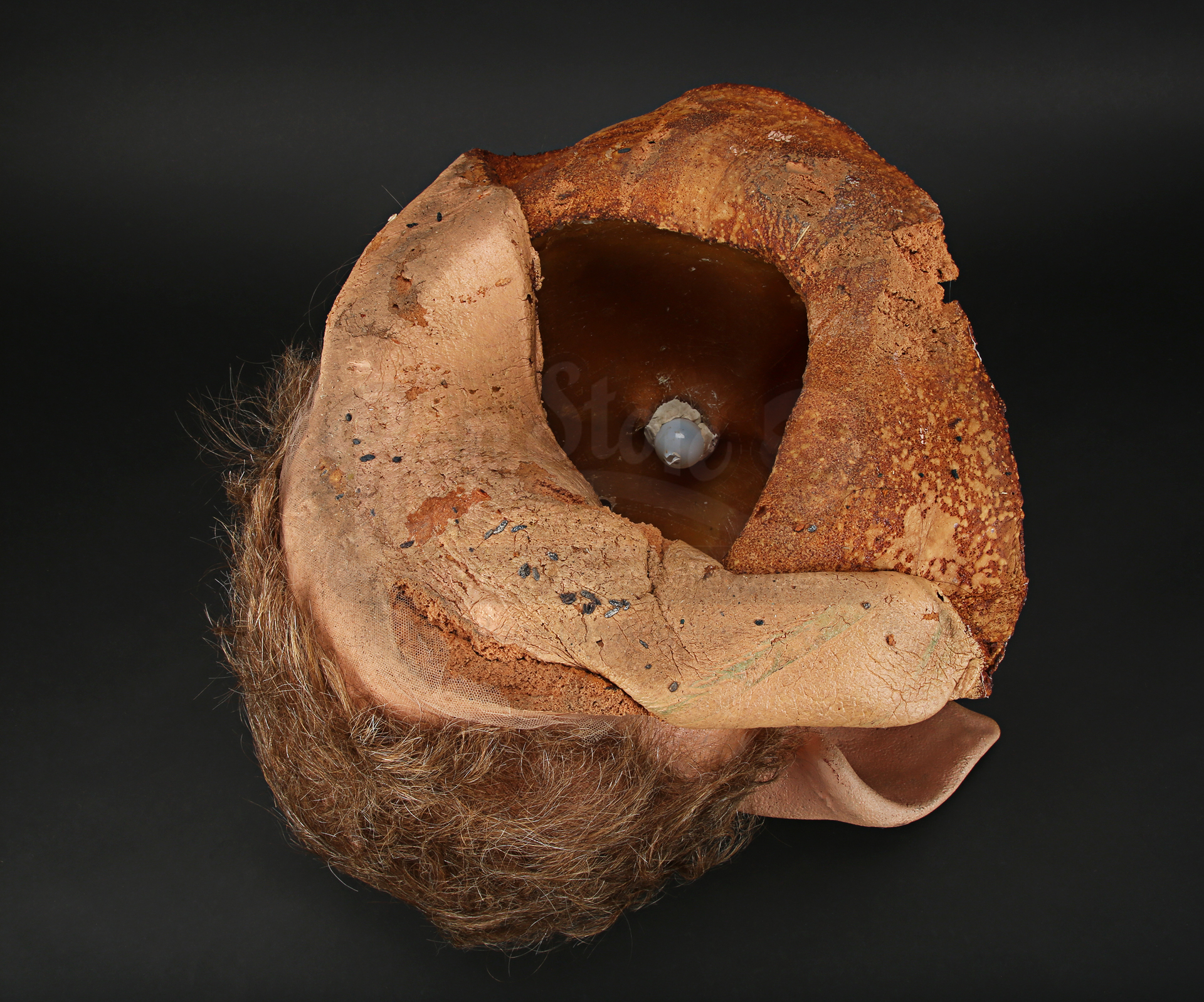 Prop Store - Ultimate Movie Collectables