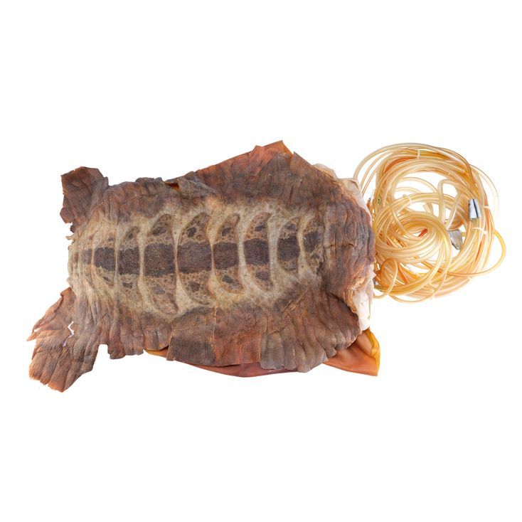 233. Edgars (Vincent DOnofrio) Special Effects Transformation Bladder ...