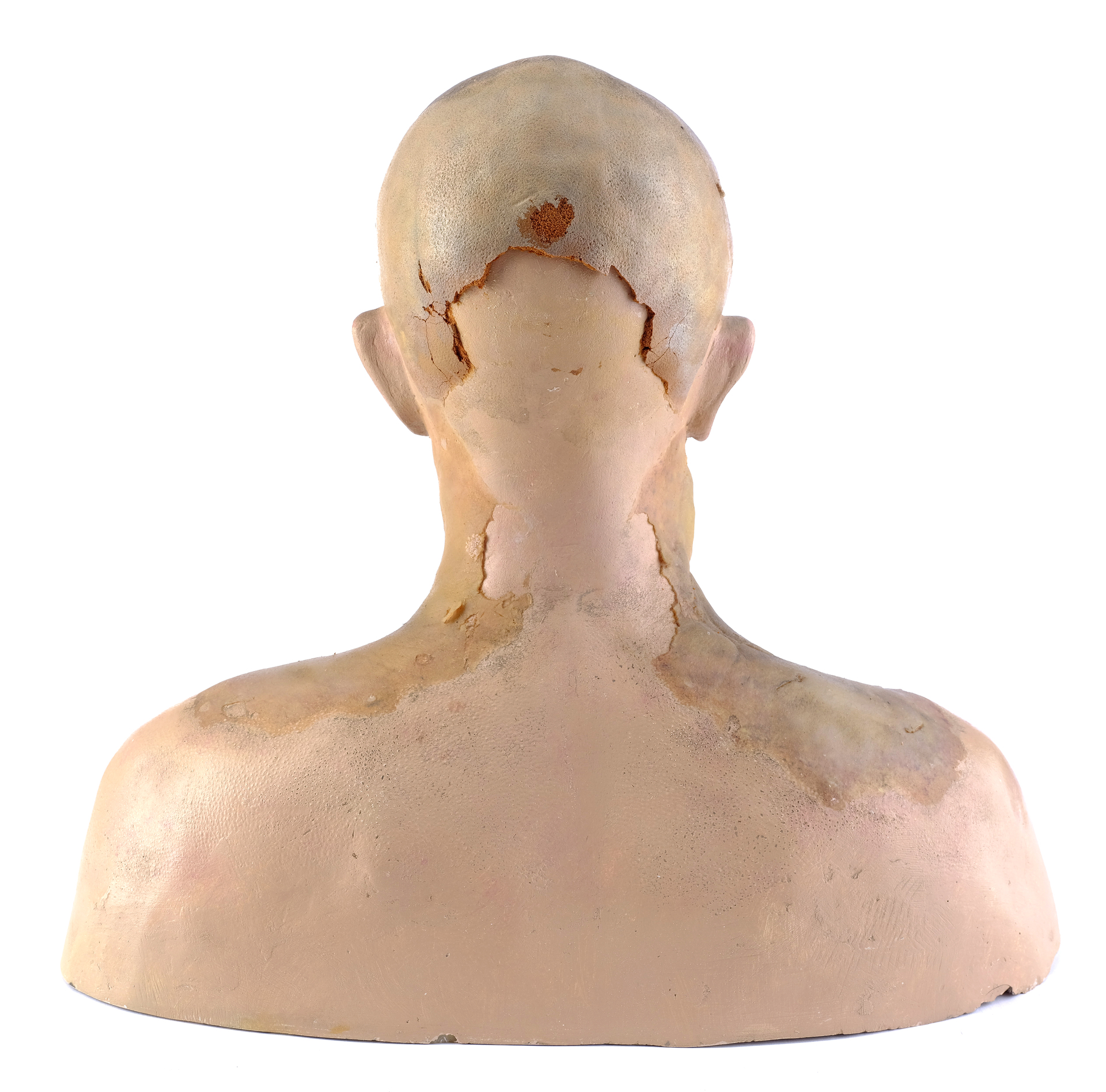 Lot 797 - Mason Verger (Gary Oldman) Makeup Reference Bust | HANNIBAL