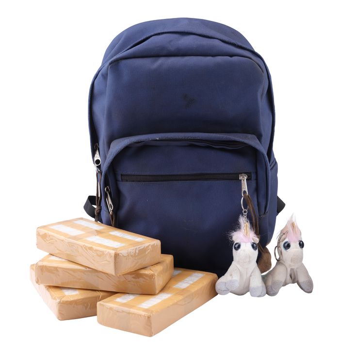 1327. Backpack and Prop Cocaine Bricks | WOLFS (2024)