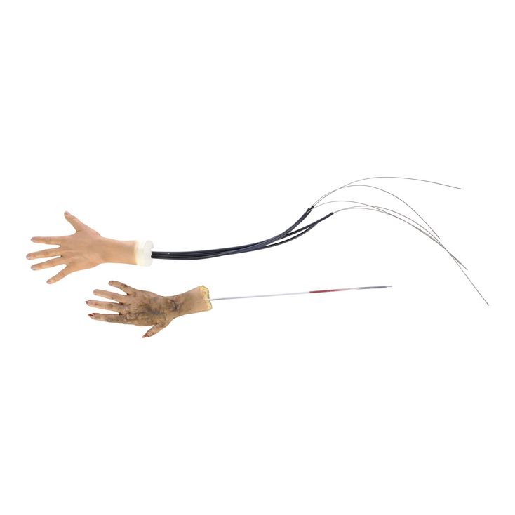 Lot 1125 - Static and SFX Wolf Transformation Hands | AMITYVILLE MOON ...