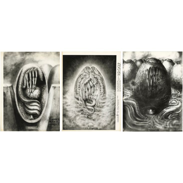 472. Set of Three Hand-Marked H.R. Giger Xenomorph Egg Concept Art ...
