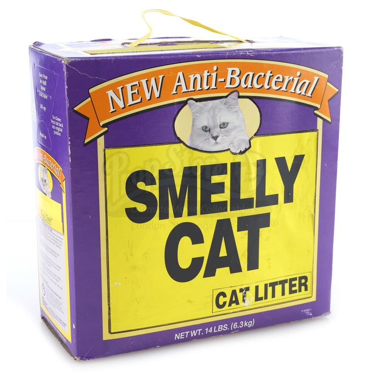 Smelly Cat Cat Litter FRIENDS (19942004)