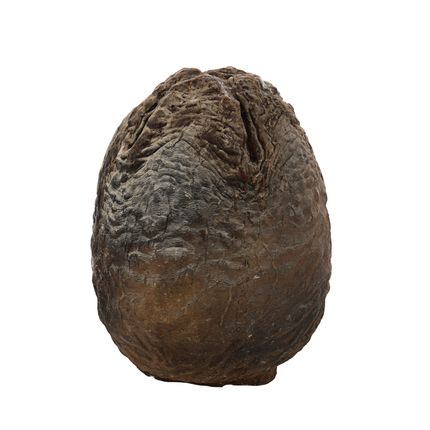 Lot 12. Fullsize Xenomorph Egg ALIENS (1986)