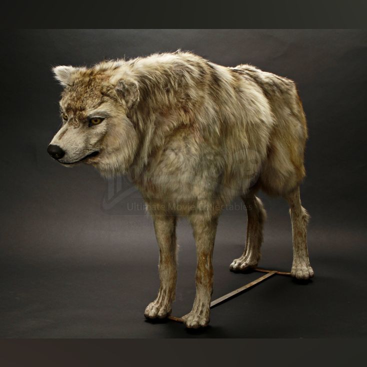 Timberwolf Full Size Stand In | GREY, THE (2011)