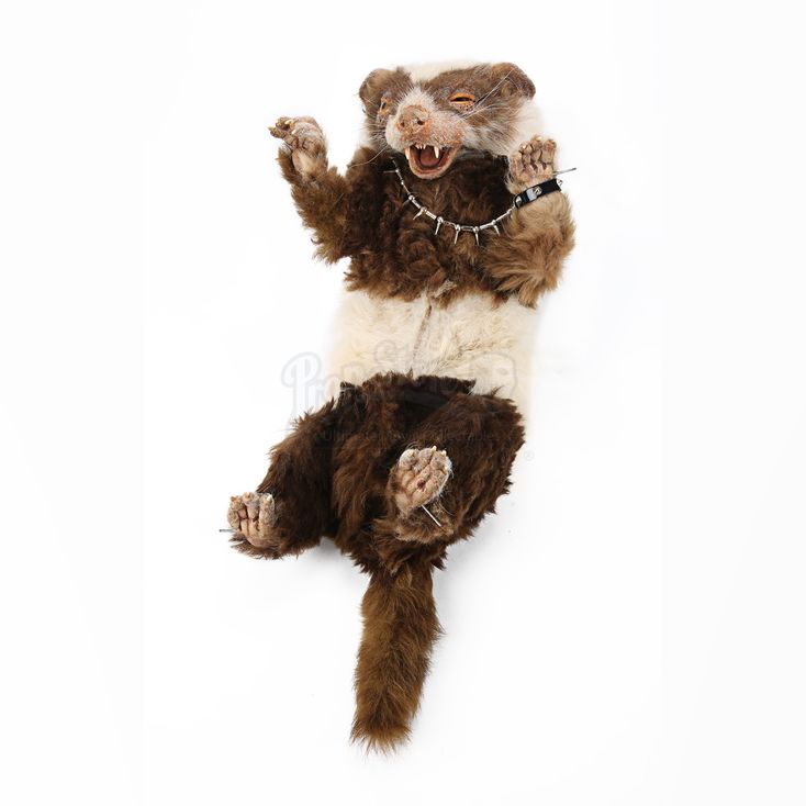 Ferret Henchman Puppet With Necklace Cuff TALES OF THE RIVERBANK (2008)