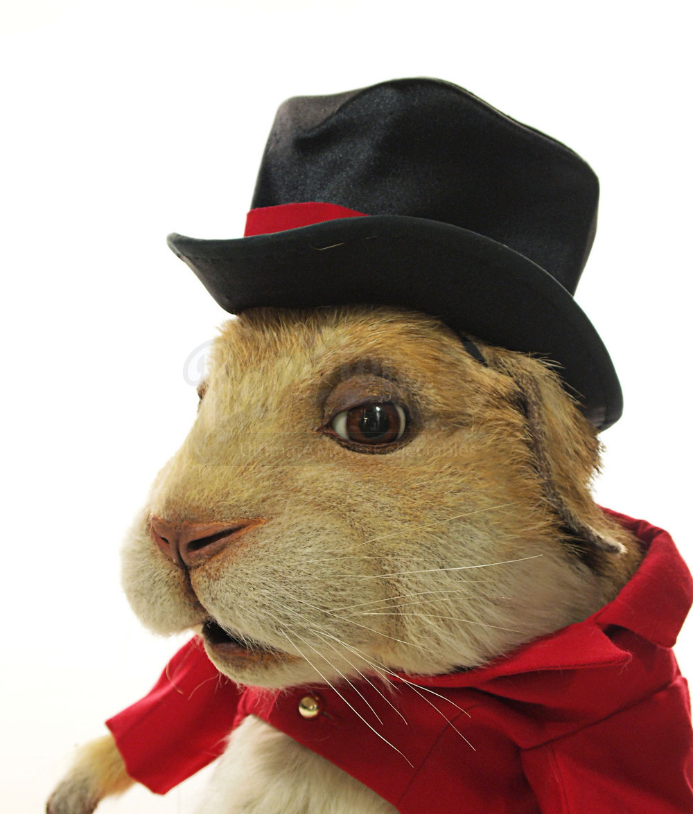 Puppet Ringmaster Propstore - Find Your Extraordinary