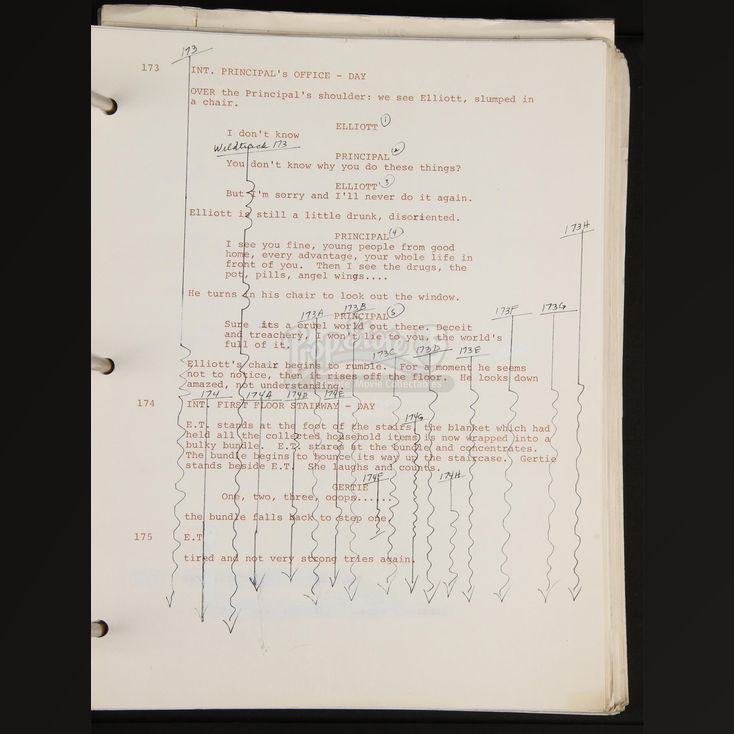 Script Supervisors Continuity Script and Breakdowns | E.T. THE EXTRA ...